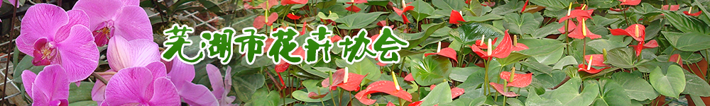 芜湖市花卉协会